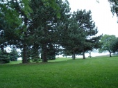 DSC08029.JPG